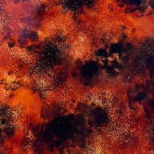 Load image into Gallery viewer, TORTIE ESSENTIALS